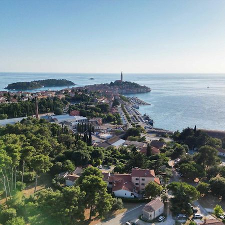 Villa Dobravac Wine Estate Ровинь Экстерьер фото